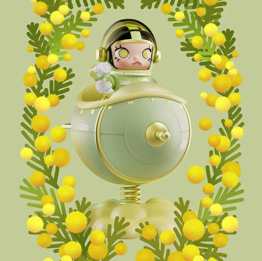 MEGA SPACE MOLLY 100% Blooming-Golden Wattle