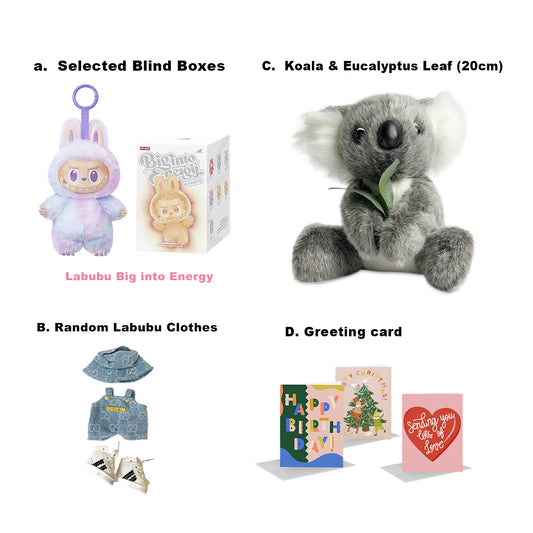 Gogofun with Australian Friends Gift Box