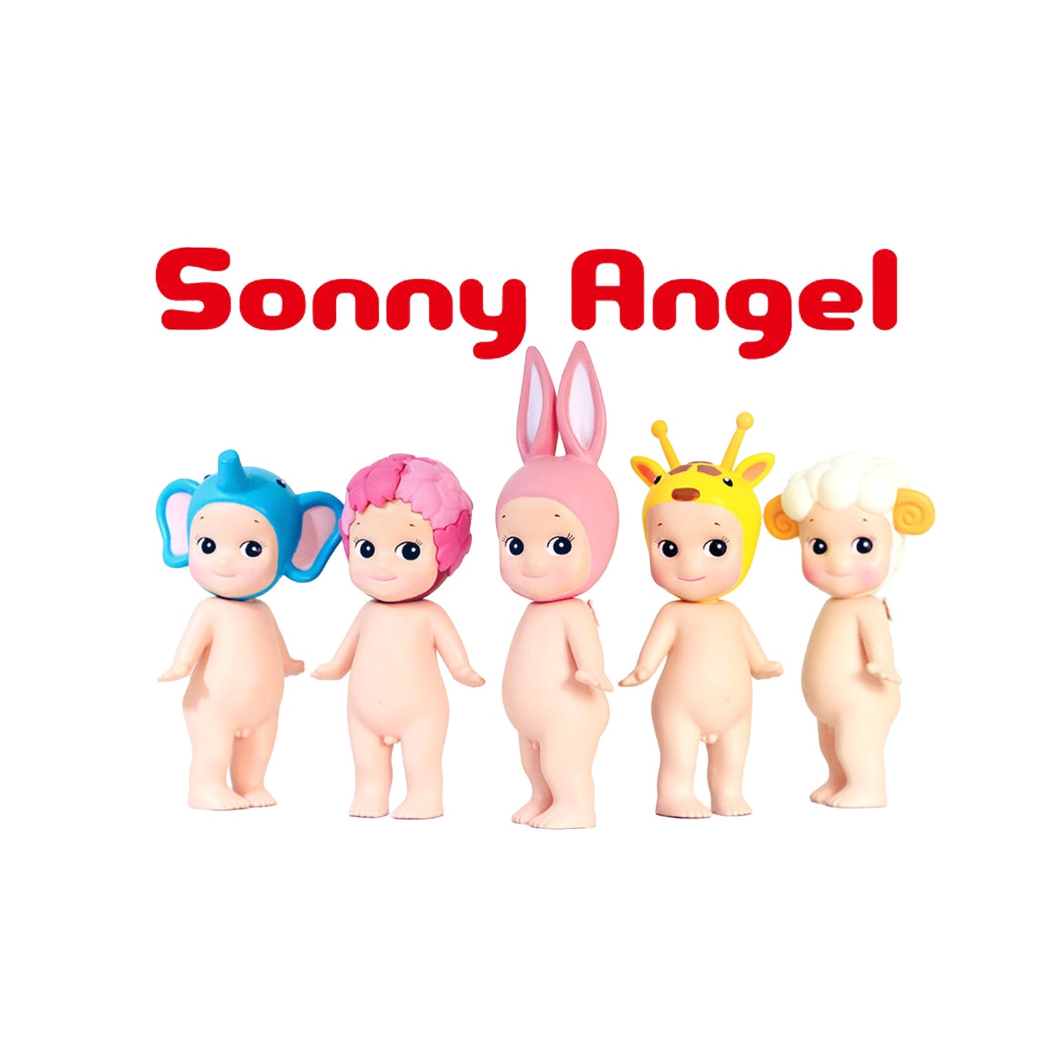 Sonny Angle