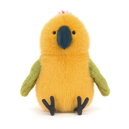 Budgeby Parrot|  In Stock Australia